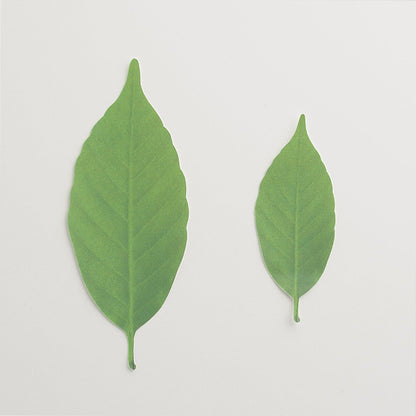 Color-Changing Leaf Bookmark - Temperature Sensitive Thermometer Sticker