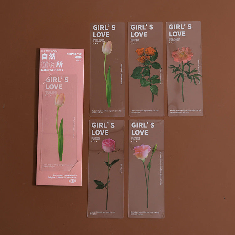 Dried Flower Bookmark Set - Natural Plant Daisy PET Page Markers (5-Pack)