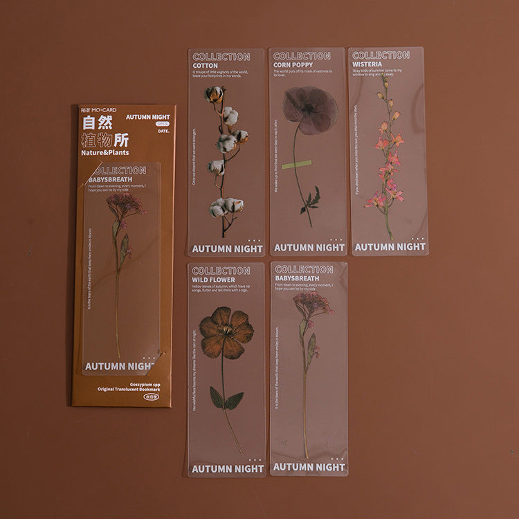 Dried Flower Bookmark Set - Natural Plant Daisy PET Page Markers (5-Pack)