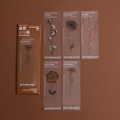 Dried Flower Bookmark Set - Natural Plant Daisy PET Page Markers (5-Pack)