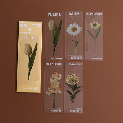 Dried Flower Bookmark Set - Natural Plant Daisy PET Page Markers (5-Pack)