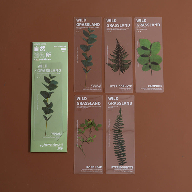 Dried Flower Bookmark Set - Natural Plant Daisy PET Page Markers (5-Pack)