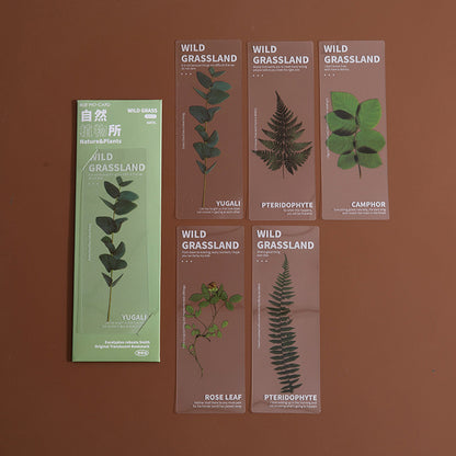 Dried Flower Bookmark Set - Natural Plant Daisy PET Page Markers (5-Pack)