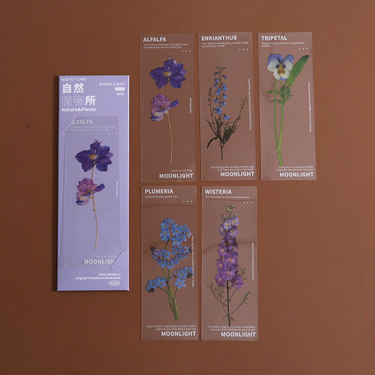 Dried Flower Bookmark Set - Natural Plant Daisy PET Page Markers (5-Pack)