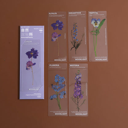 Dried Flower Bookmark Set - Natural Plant Daisy PET Page Markers (5-Pack)